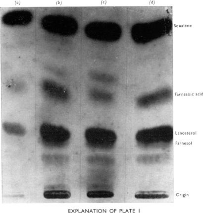 PLATE 1