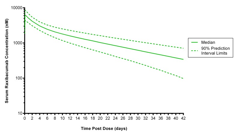 Predicted median (90% prediction interval) serum raxibacumab concentration-time profile in humans exposed to anthrax spores, following a 40 mg/kg raxibacumab intravenous 2 h infusion dose. The profile is based on 200 replicate simulations using observed raxibacumab pharmacokinetics in healthy subjects. The exception was raxibacumab clearance, which was increased by the same proportion as clearance was observed to increase between healthy and anthrax infected rabbits or monkeys. The median line represents the central tendency of the results. The 90% PI provides a representation of the expected variability among subjects, with 5% of the subjects falling above and 5% falling below those bounds.