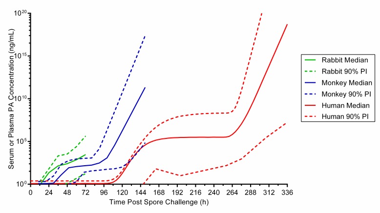 Predicted PA profile in humans versus observed PA profiles in rabbits and monkeys after an inhaled B. anthracis spore challenge, without treatment interv