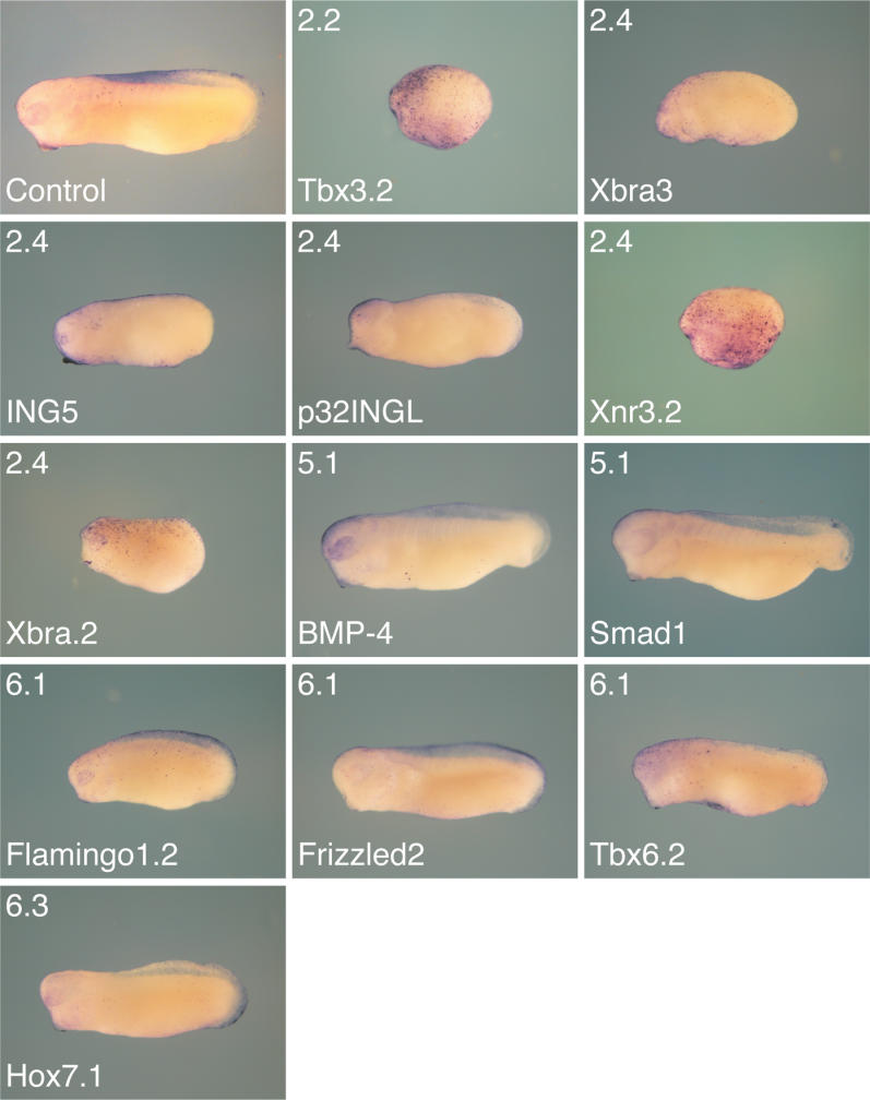 Figure 14