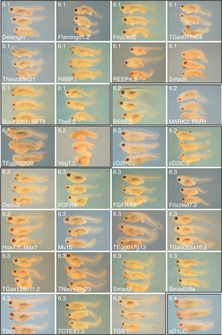 Figure 11