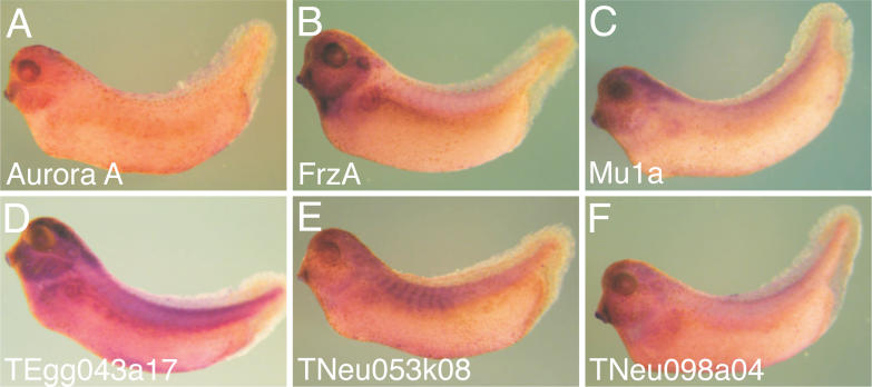 Figure 16