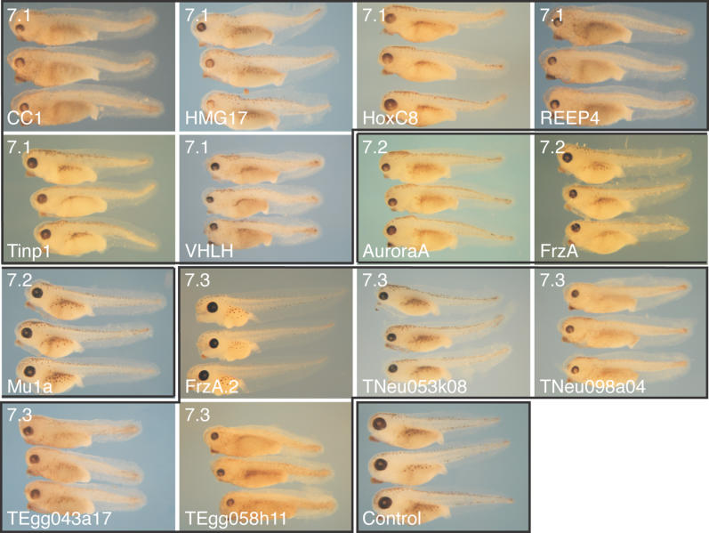 Figure 13