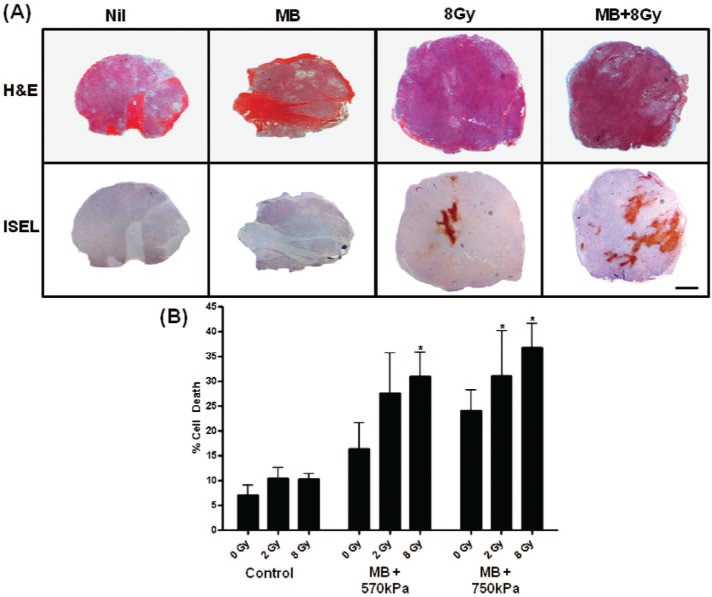 Figure 3: