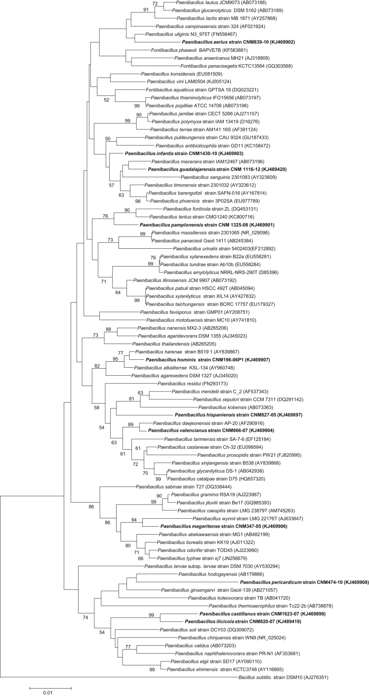 Fig. 3