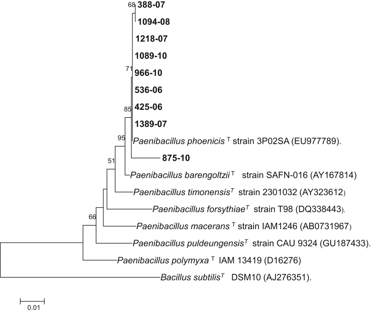 Fig. 1