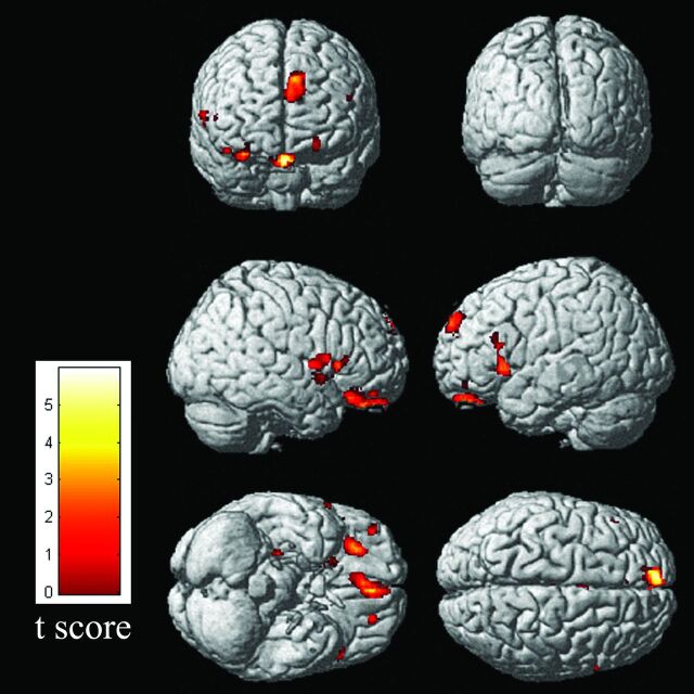 Fig 1.