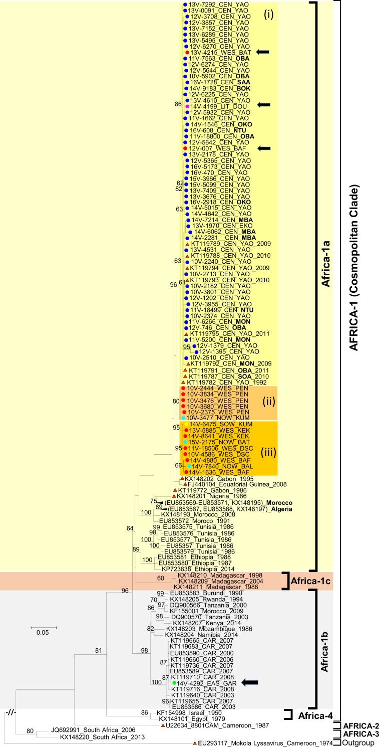 Fig 3