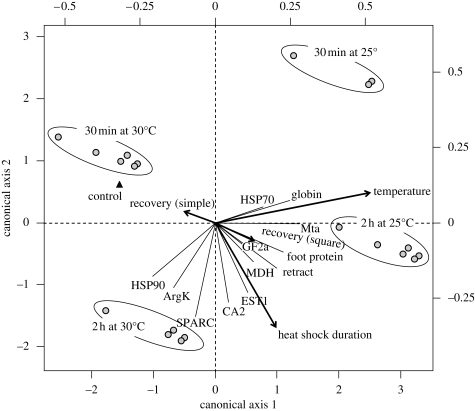 Figure 3.