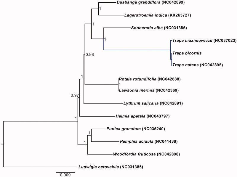 Figure 1.