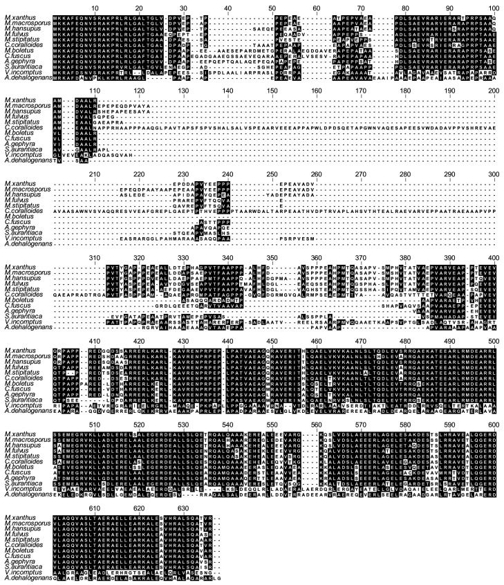 Figure 3—figure supplement 1.