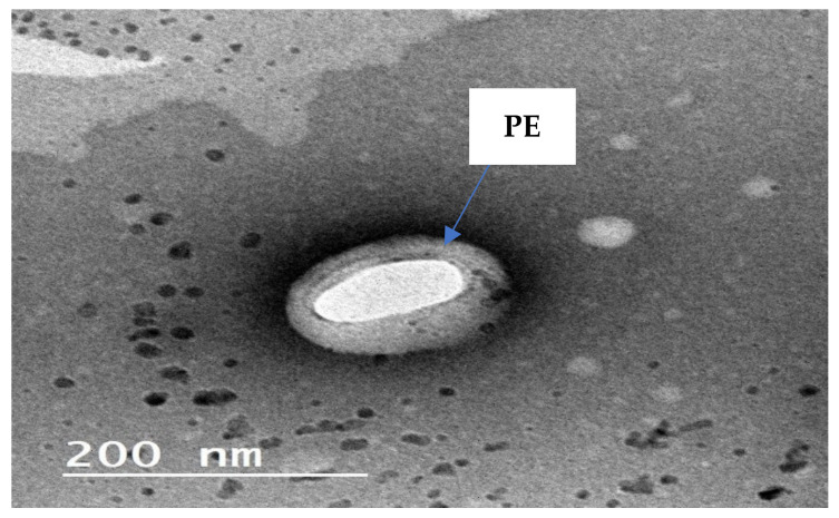 Figure 14