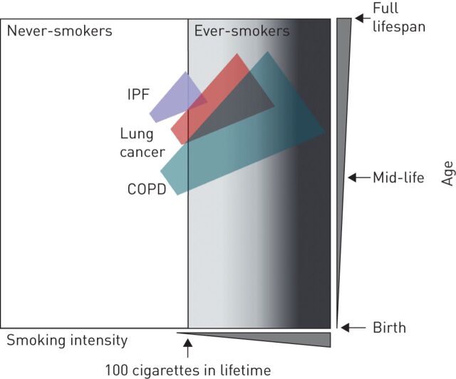 FIGURE 1