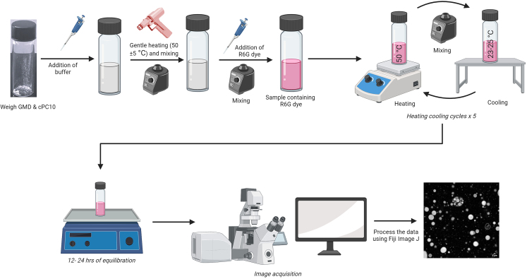 Figure 2