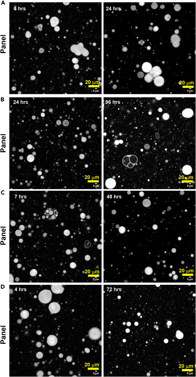 Figure 3