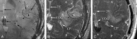 F<sc>ig</sc> 1.