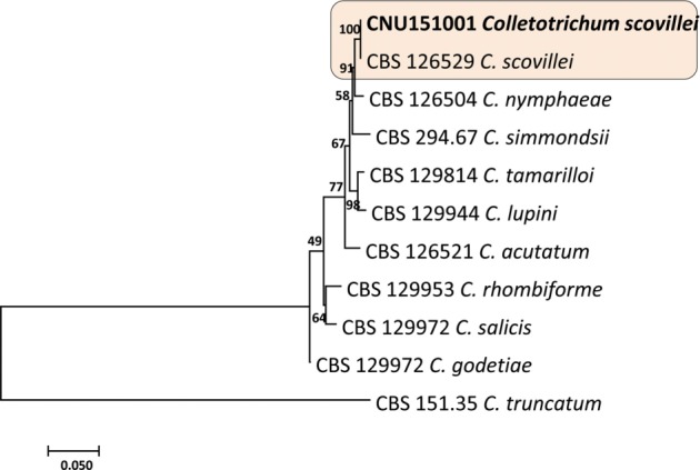 Fig. 2