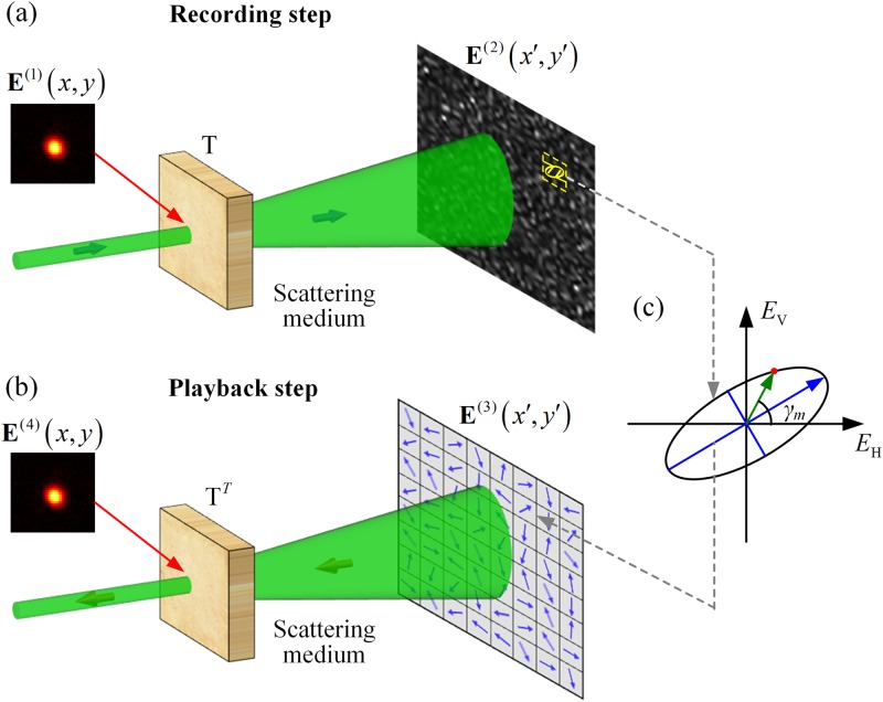 FIG. 1.