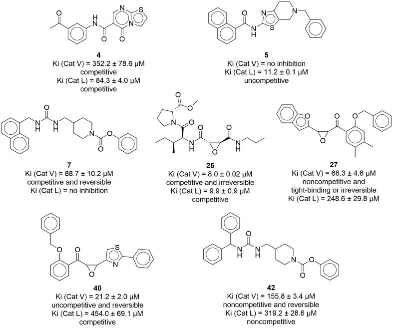 Fig. 7