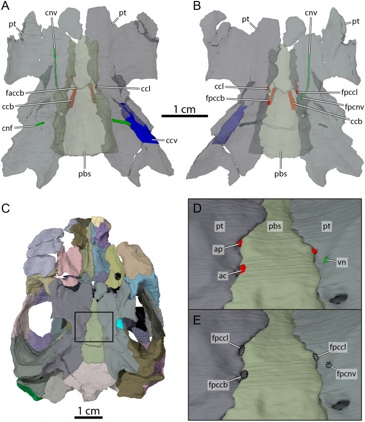 Figure 9