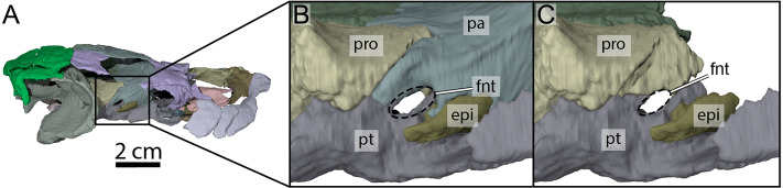 Figure 7