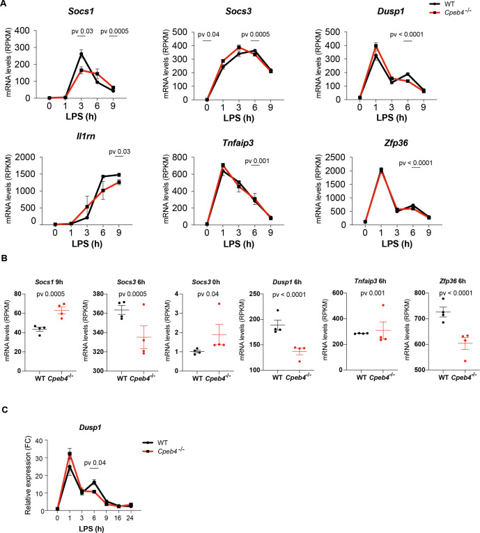 Figure 4—figure supplement 2.