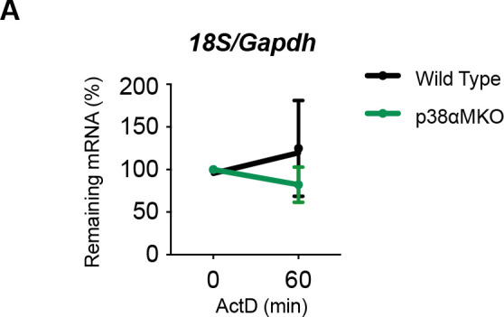 Figure 3—figure supplement 2.