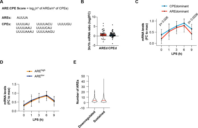 Figure 5—figure supplement 1.