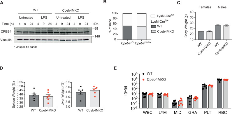 Figure 1—figure supplement 2.