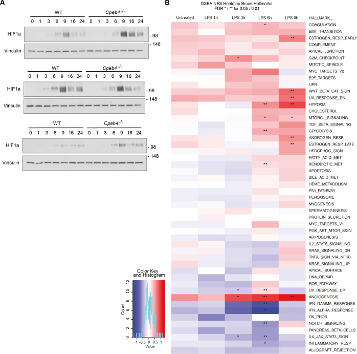 Figure 2—figure supplement 3.