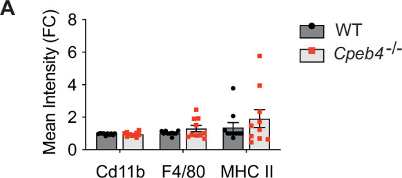 Figure 2—figure supplement 2.