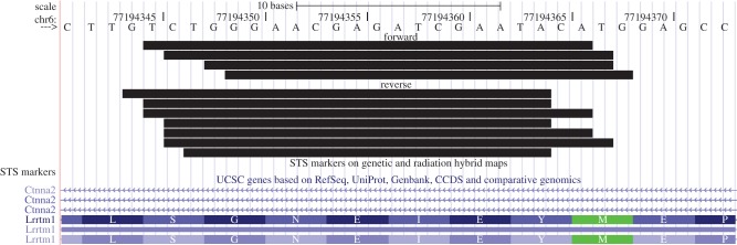 Figure 2.