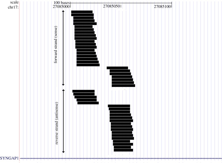 Figure 3.