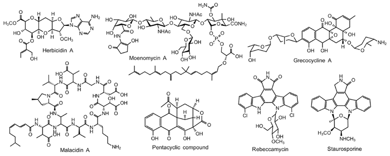 Figure 5.