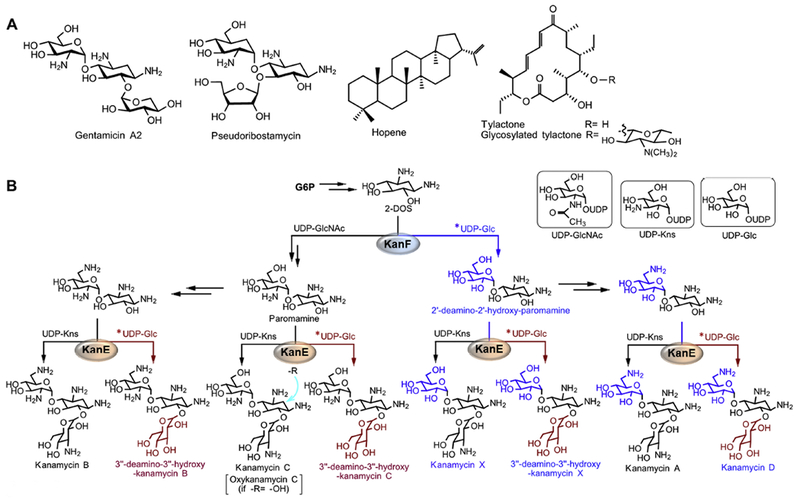 Figure 6.