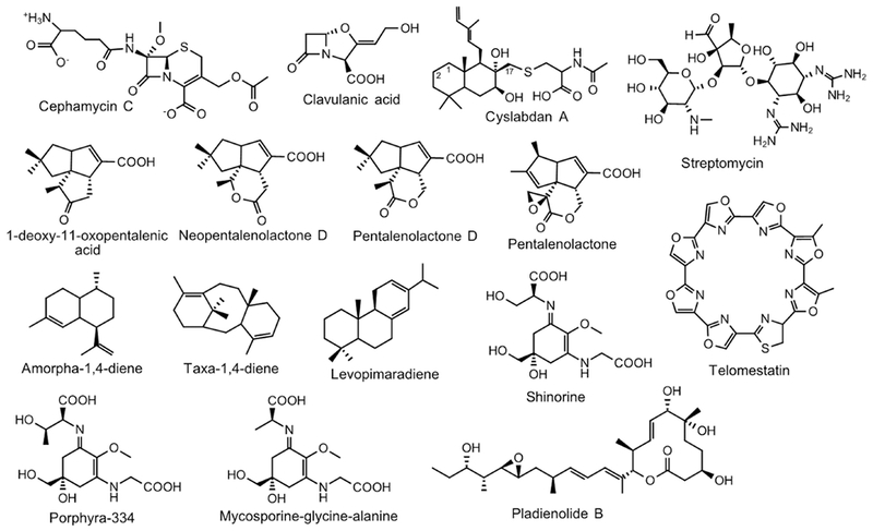 Figure 7.