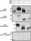 FIG. 6
