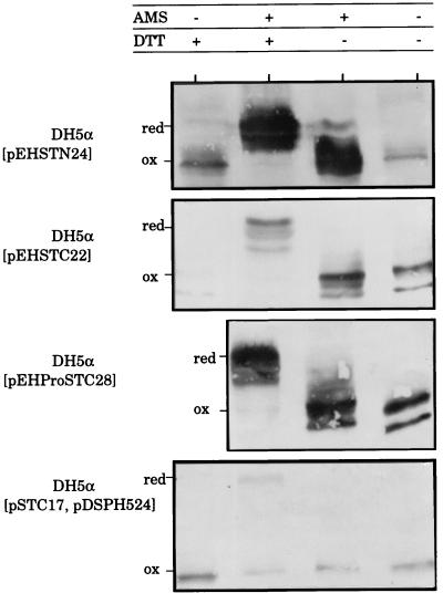 FIG. 6