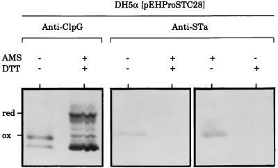 FIG. 7