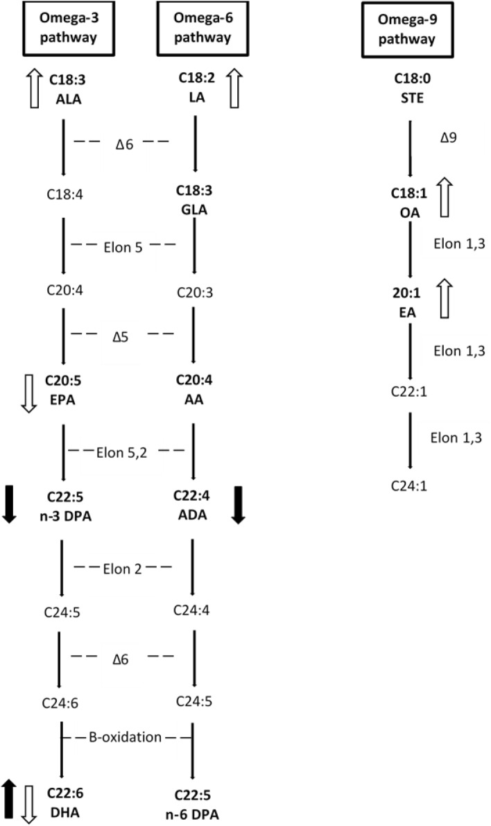 Fig.3