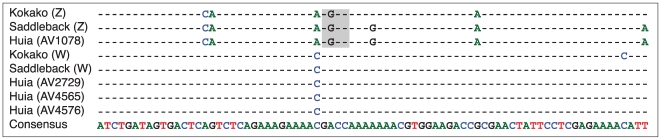 Figure 5