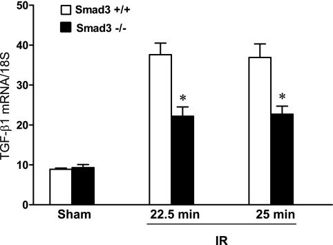 Fig. 9.