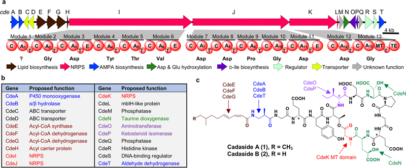 Figure 2.