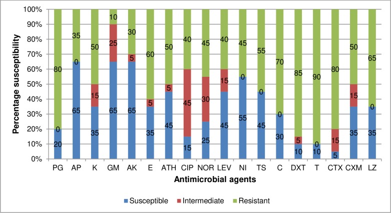 Fig 6