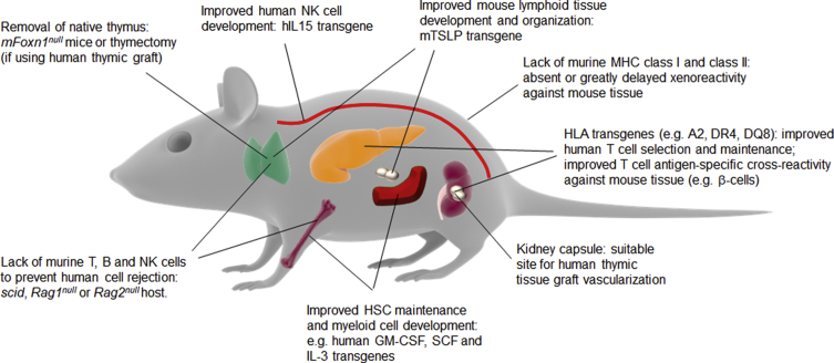 Figure 2