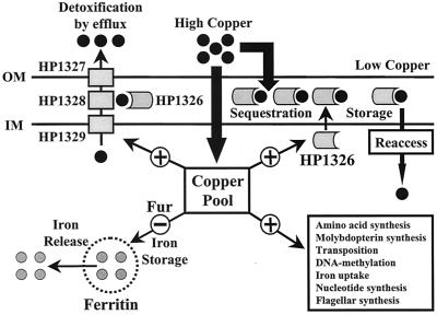 FIG. 6.