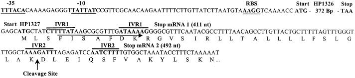 FIG. 5.