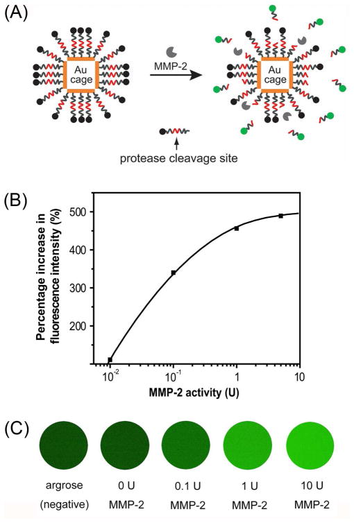 FIGURE 9