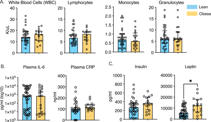 Figure 1—figure supplement 1.