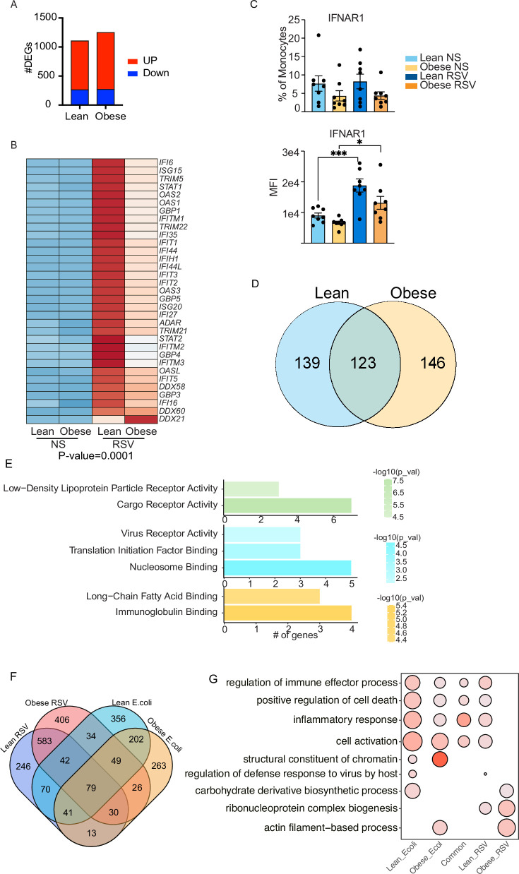 Figure 3—figure supplement 1.